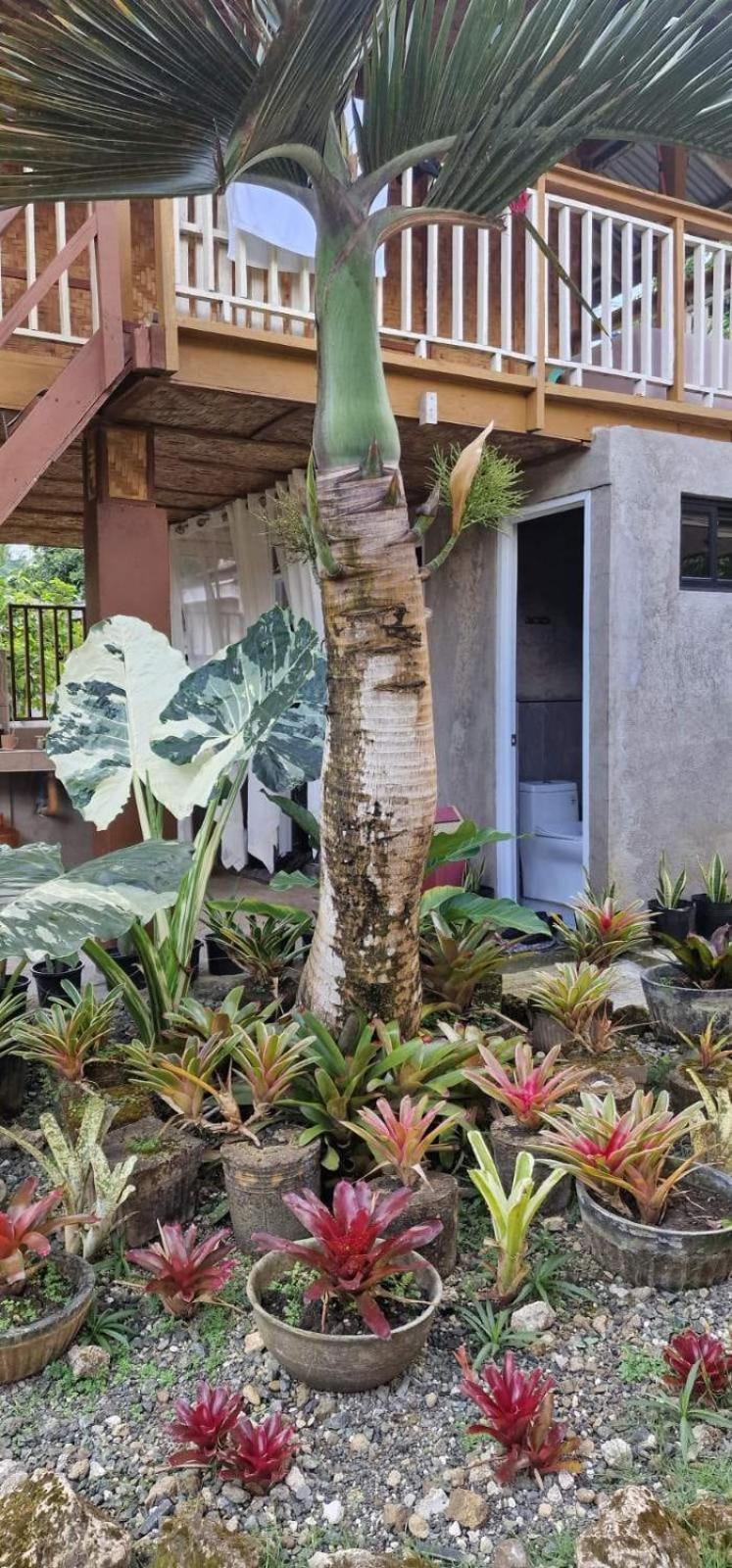 Khloe Serenity Guest House Batuan Zewnętrze zdjęcie